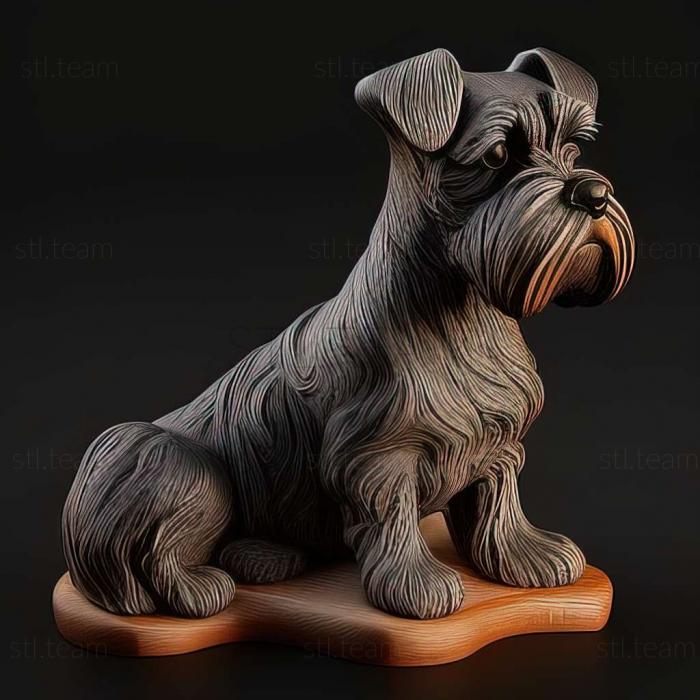 Zwergschnauzer dog